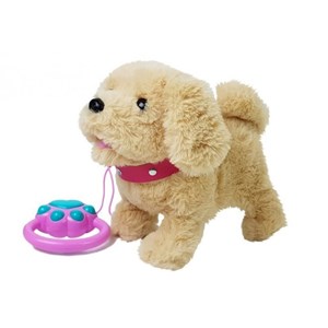عروسک رباتیک سگ کنترلی سخنگو و موزیکال قهوه ای Pet Play Set Toys _اسباب بازی ربات